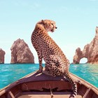 cheetah op bootje
